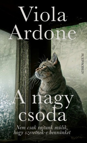 Viola Ardone A ​nagy csoda